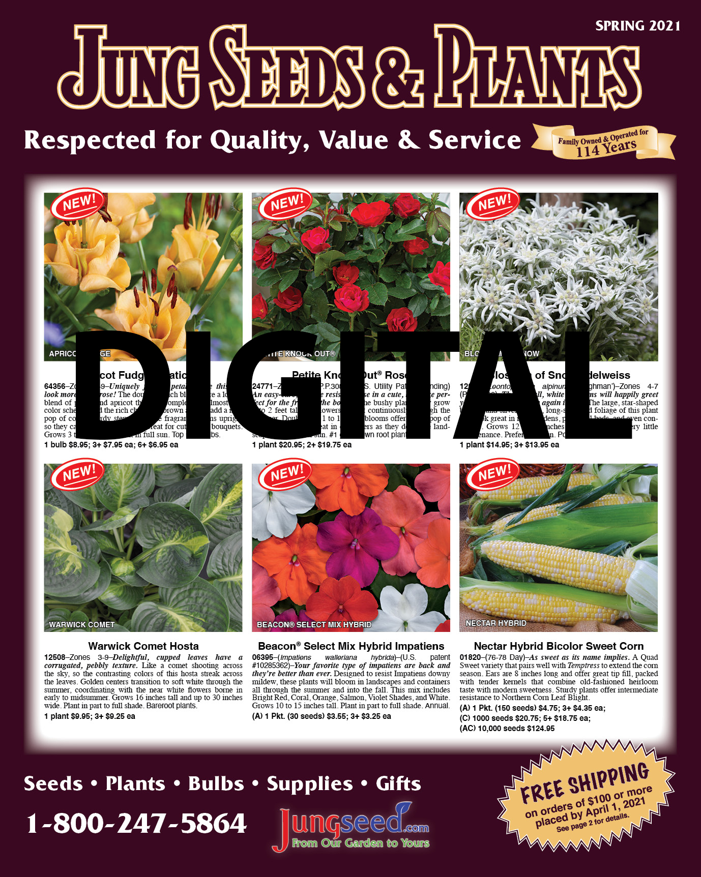 Digital Catalog